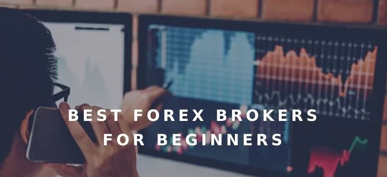 Best Forex Brokers for Beginners South Africa